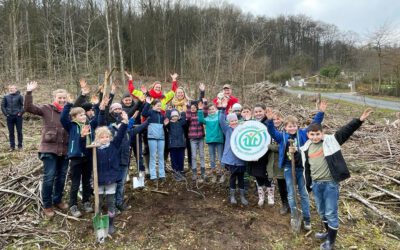 Schulwälder gegen Klimawandel